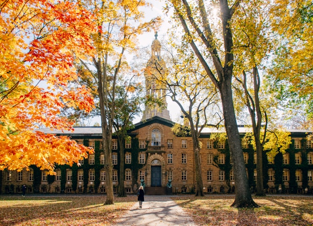 campus universitario